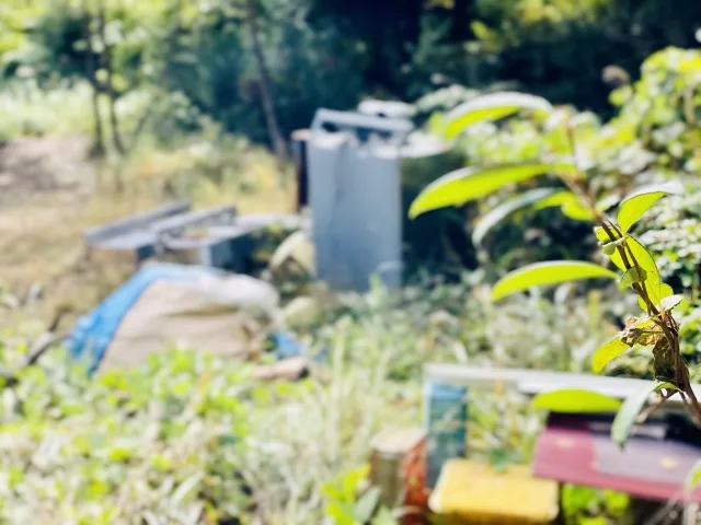 空き地に置かれた廃材や家財が散乱している様子